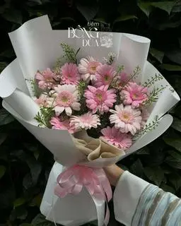 Hình ảnh Bó Hoa Dài Đồng Tiền 