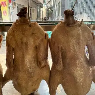 Hình ảnh vịt nguyên con