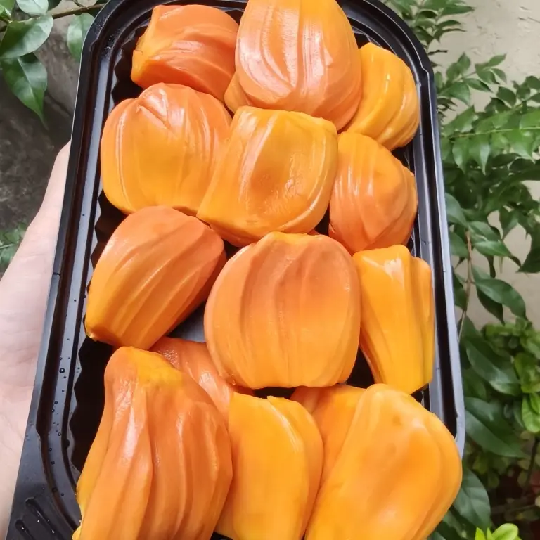 Hình ảnh Mít Thái đỏ