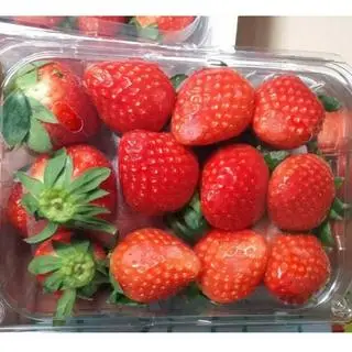 Hình ảnh Dâu Tây hộp 350gr
