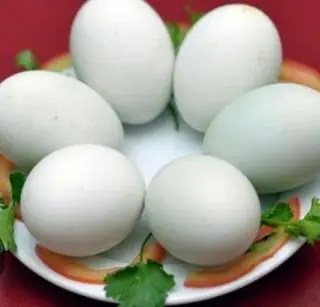 Hình ảnh trứng vịt lộn