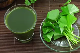 Hình ảnh Rau má thường 