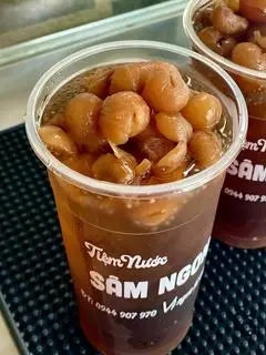 Hình ảnh Sâm nhãn nhục