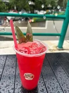 Hình ảnh Ép dưa hấu
