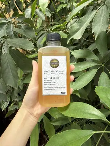 Hình ảnh Kombucha trà Nam Mỹ - 300ml