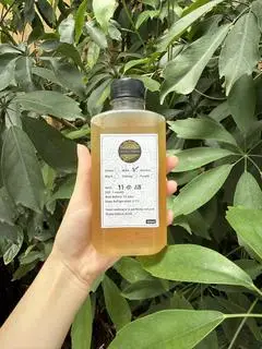 Hình ảnh Kombucha trà Nam Mỹ - 300ml