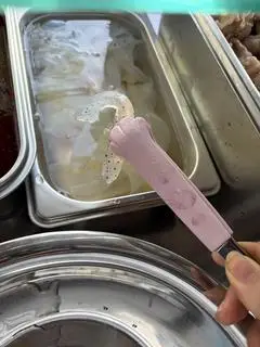 Hình ảnh Thân sứa