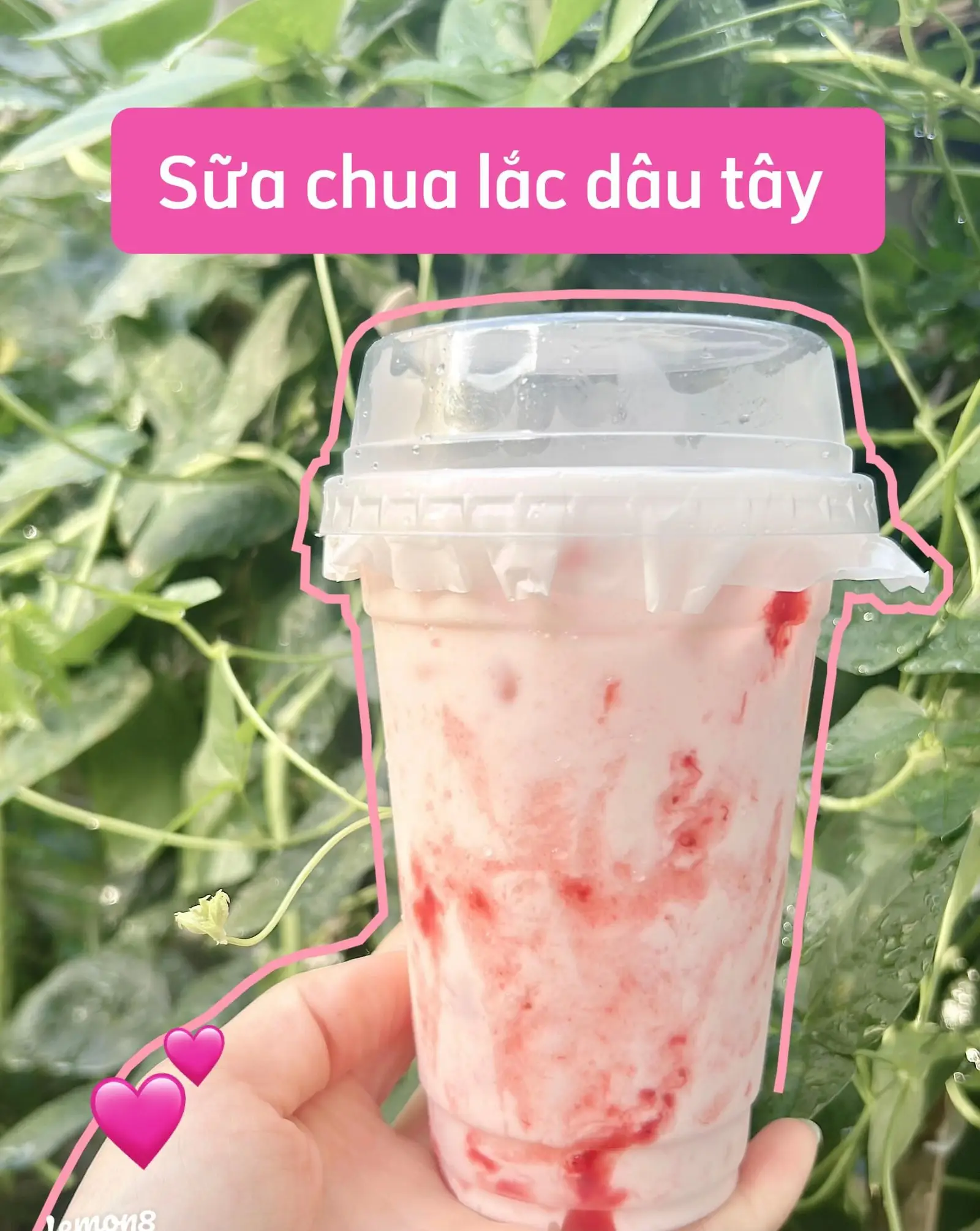 Hình ảnh SỮA CHUA DÂU TÂY 