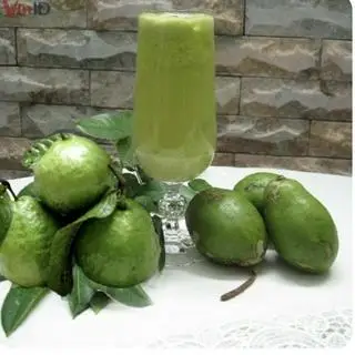 Hình ảnh CÓC + ỔI
