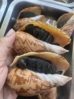 Hình ảnh Ốc Giác nướng muối ớt