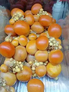 Hình ảnh Trứng Non