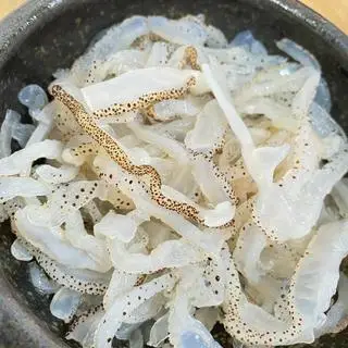 Hình ảnh Sứa