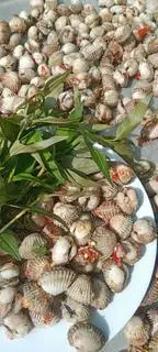 Hình ảnh sò huyết xấy muối ớt 
