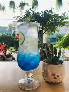 Hình ảnh SoDa Ocean Blue