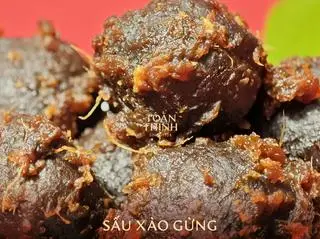 Hình ảnh SẤU XÀO GỪNG