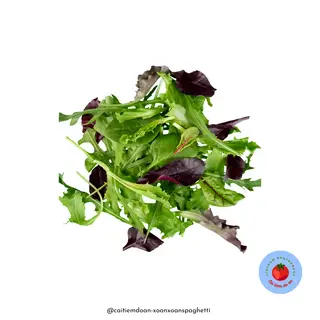 Hình ảnh Salad - Rau Thêm 