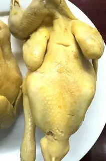 Hình ảnh Gà 1 con