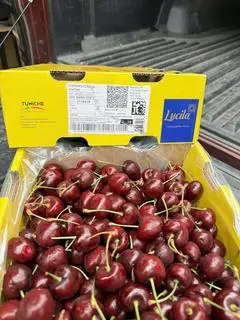 Hình ảnh 500g CHERRY MY GIÒN NGỌT