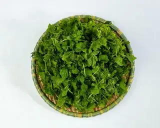 Hình ảnh Đọt Khổ Qua Rừng (Nhỏ)