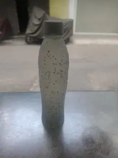 Hình ảnh nha đam hạt chia