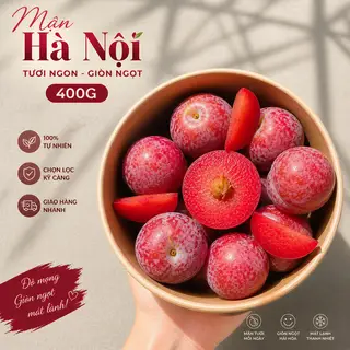 Hình ảnh Mận hà nội 