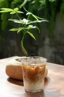 Hình ảnh CAFE HẠNH NHÂN