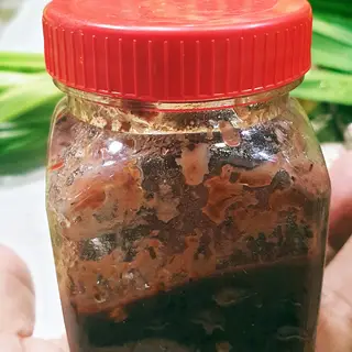 Hình ảnh Mắm Ruốc