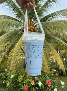 Hình ảnh Sâm dứa sữa