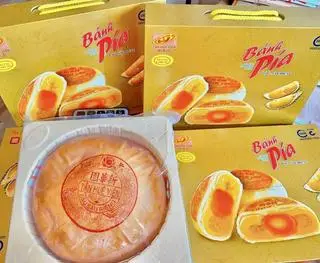 Hình ảnh Bánh Pía 1 kg Tân Huê Viên khổng lồ 8 trứng muối