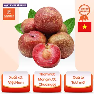 Hình ảnh Mận Hậu Mộc Châu - Hộp 1kg
