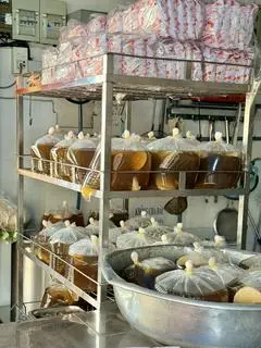 Hình ảnh Nước thêm