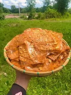 Hình ảnh Bánh tráng ghiền