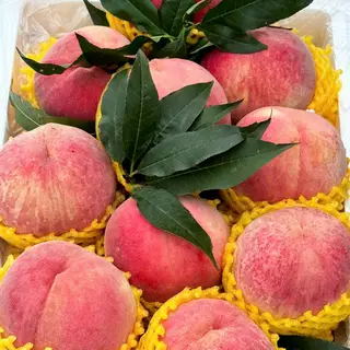 Hình ảnh Đào lông