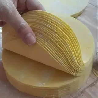 Hình ảnh Vỏ bánh gối 20c