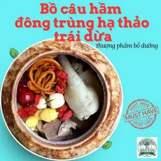 Hình ảnh Bồ câu hầm đông trùng hạ thảo - trái dừa 
