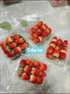 Hình ảnh Dâu tây Mộc Châu size TO (500g)