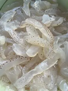 Hình ảnh phần sứa thêm