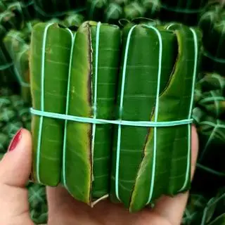 Hình ảnh Combo 50 Nem Chua Thanh Hóa