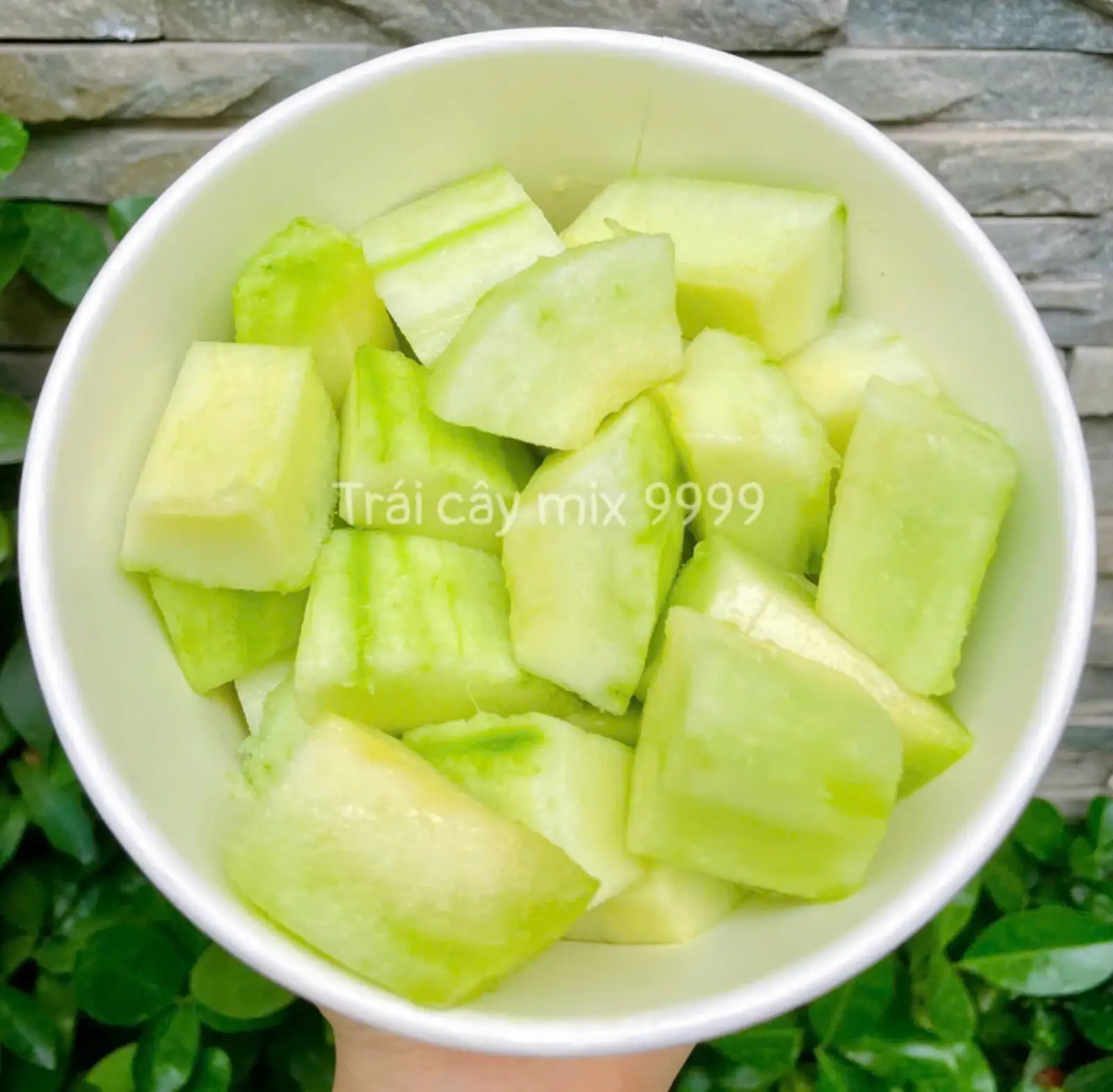 Hình ảnh Dưa gang dầm 