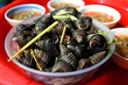 Hình ảnh ốc vặn luộc