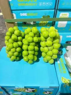 Hình ảnh Nho sữa vip