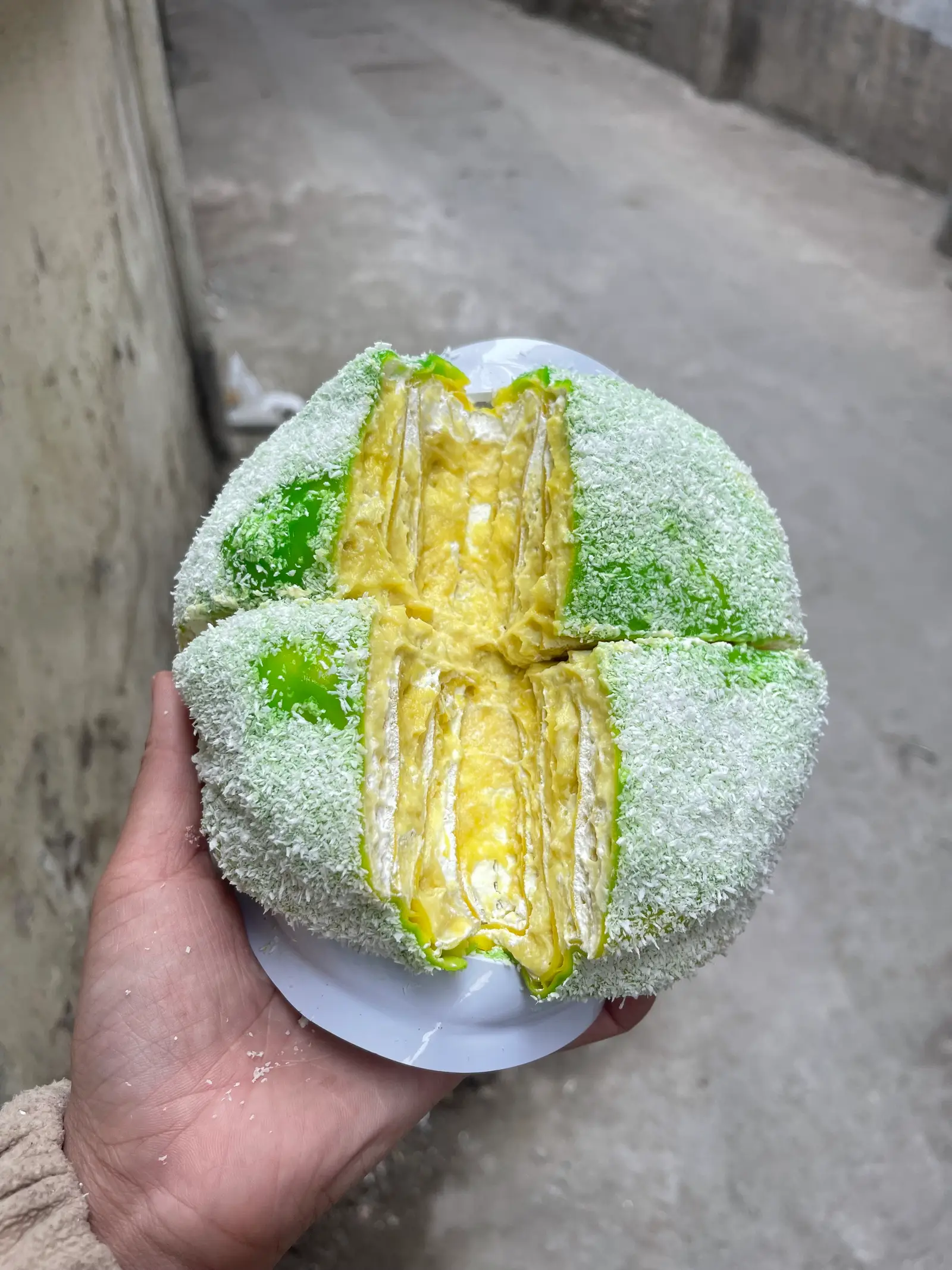 Hình ảnh phú sĩ sầu 16cm