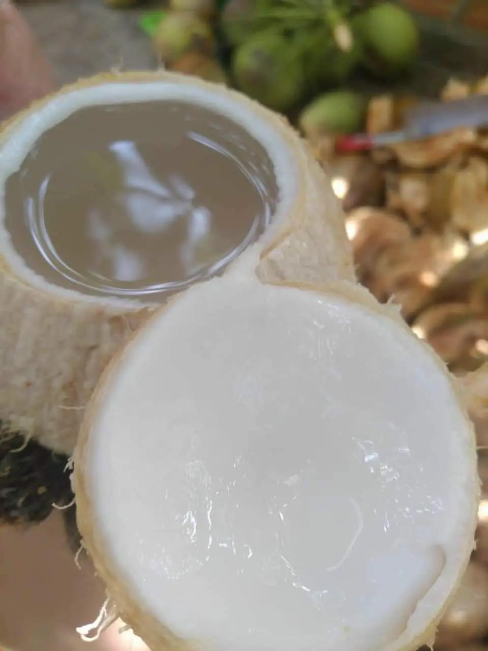 Hình ảnh Dừa Xiêm vườn nhà gọt thủ công không ngâm tẩy size vừa