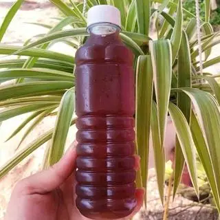 Hình ảnh nước sâm