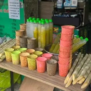 Hình ảnh DỪA ỐNG TRE