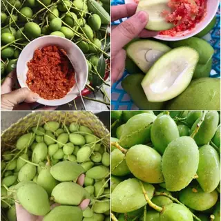 Hình ảnh Xoài non