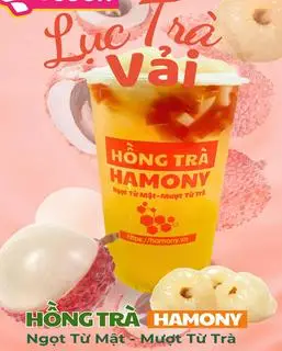 Hình ảnh LỤC TRÀ VẢI TƯƠI HAMONY 700ML