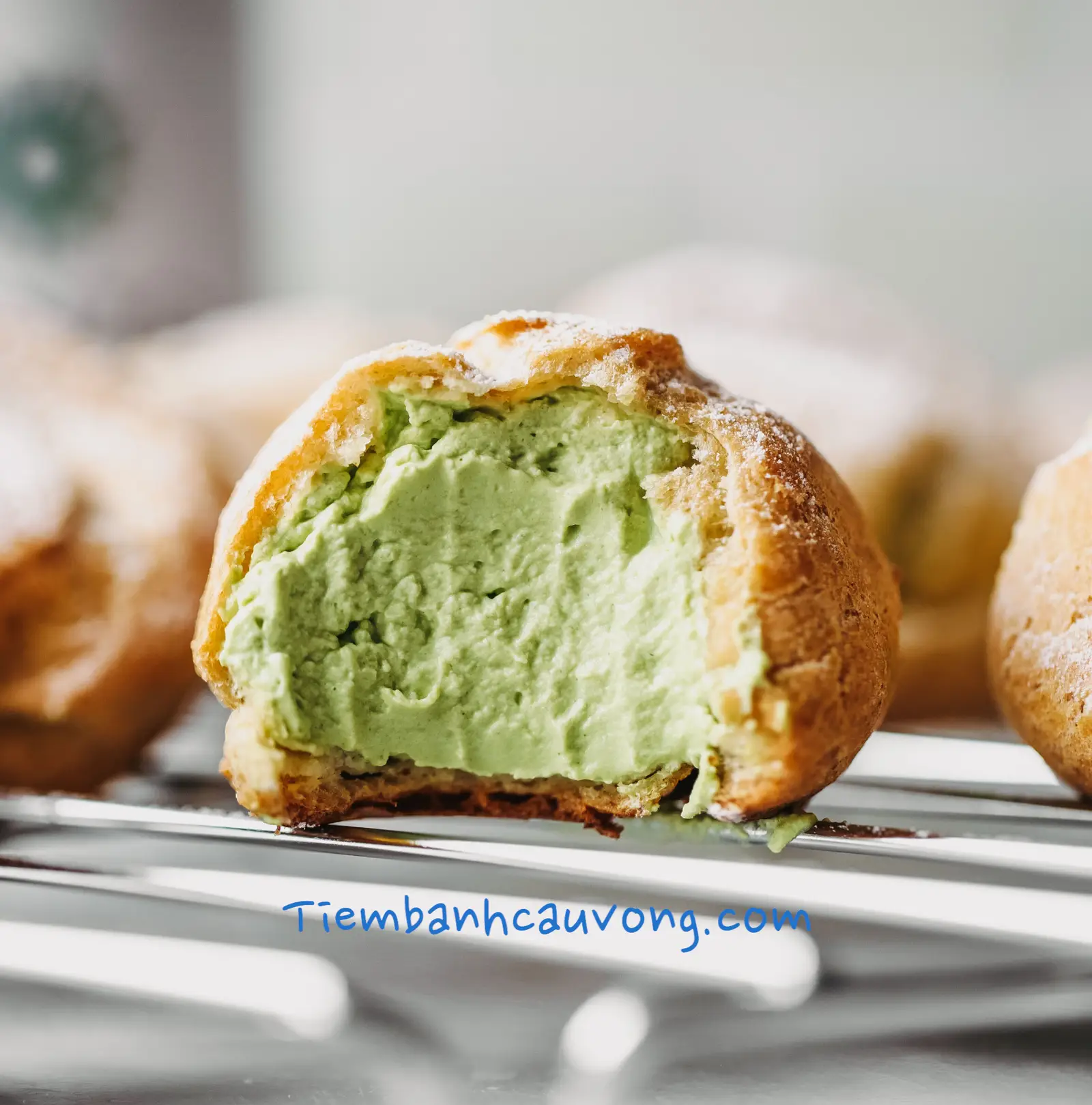 Hình ảnh Su dai Singapore - Matcha