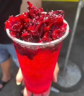 Hình ảnh Trà atiso