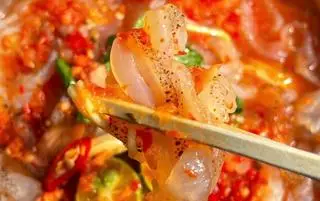 Hình ảnh SỨA THÂN SÔT THÁI 